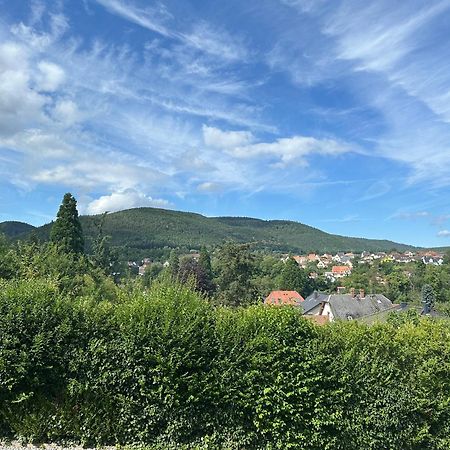 Horizons Du Haut Niederbronn-les-Bains Dış mekan fotoğraf